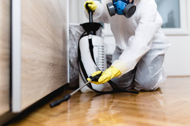 Best Ant Control Services  in Eclectic, AL