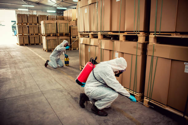 Best Pest Control Treatment  in Eclectic, AL