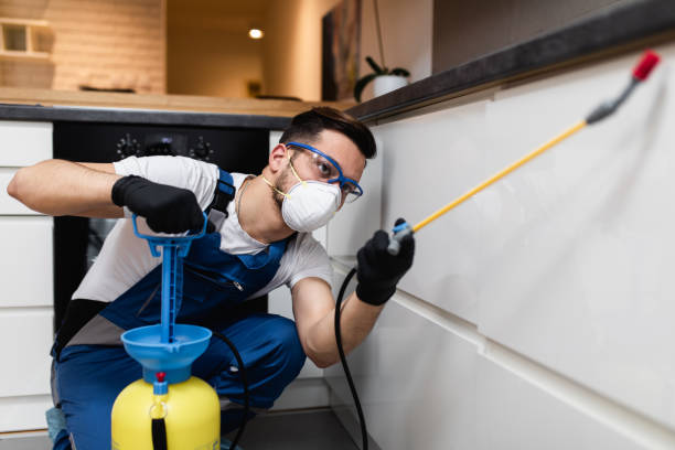 Best Flea Control Services  in Eclectic, AL