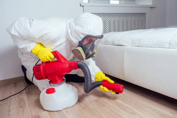 Best Mosquito Control Services  in Eclectic, AL
