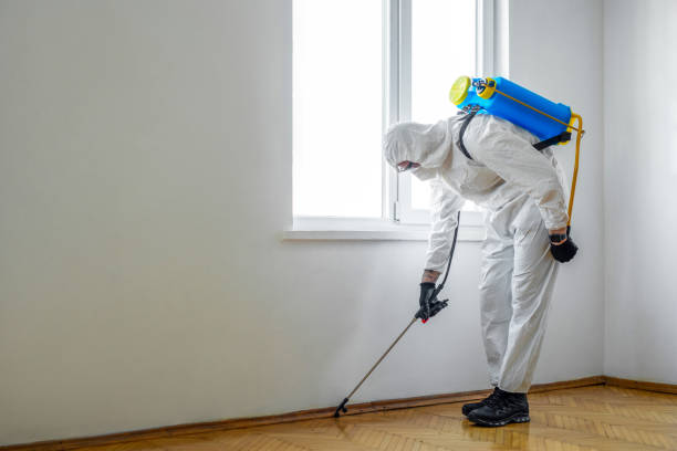Professional Pest Control in Eclectic, AL