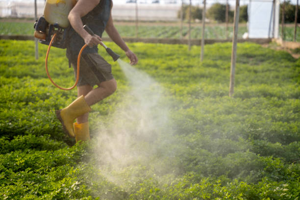 Best Best Pest Control Companies  in Eclectic, AL