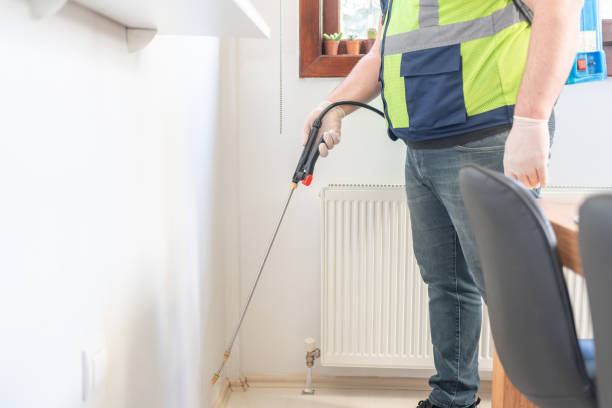 Best Wasp Removal Services  in Eclectic, AL