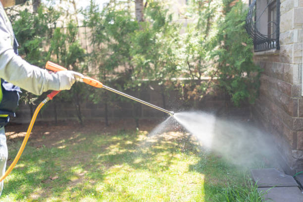 Best Cockroach Control Services  in Eclectic, AL