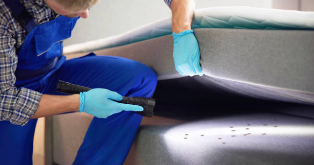 Best Residential Pest Control  in Eclectic, AL